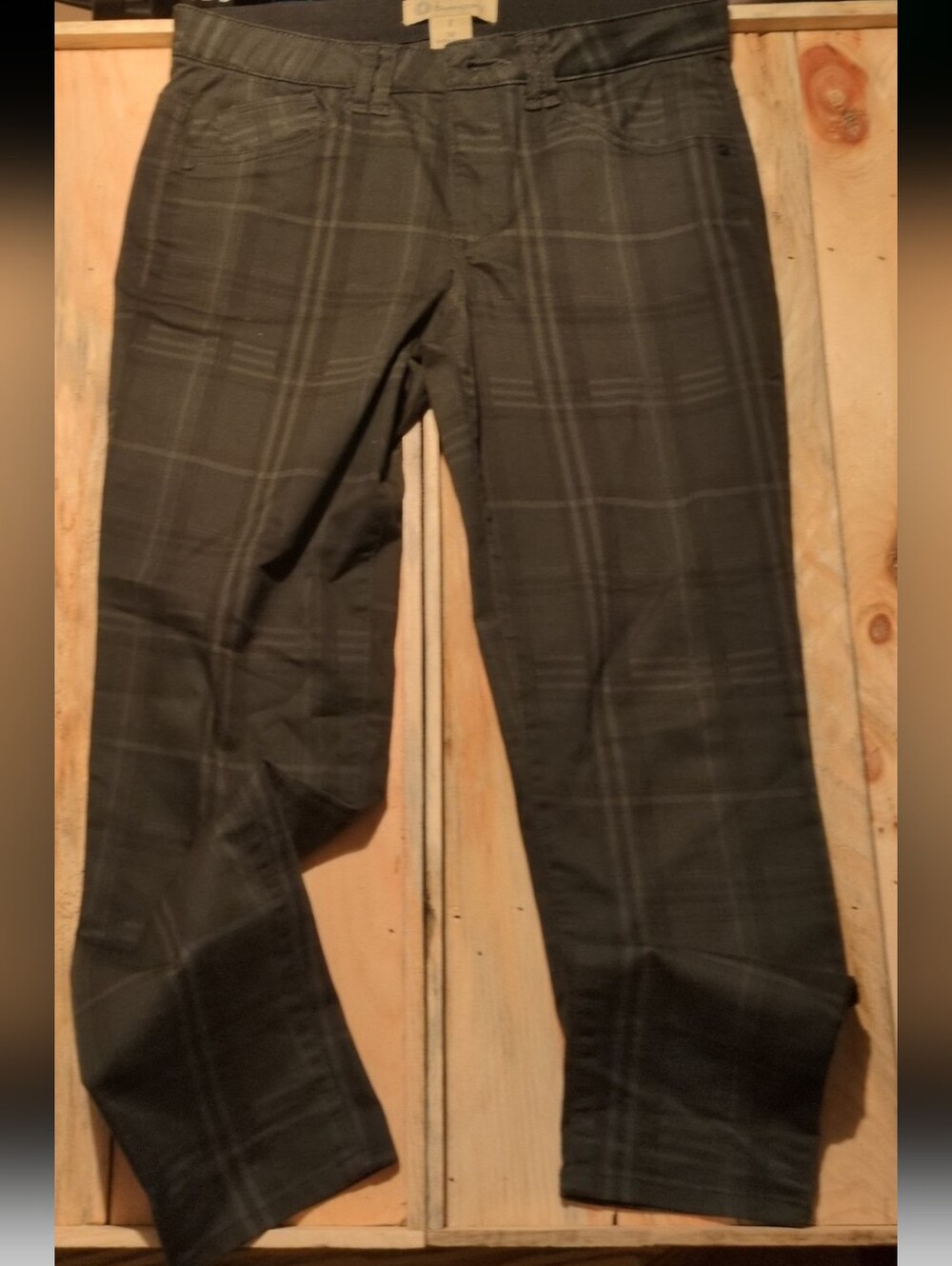 Democracy ab technology skinny plaid pants